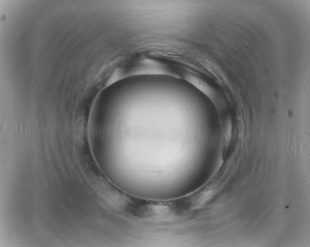 X0000066500509200603171151