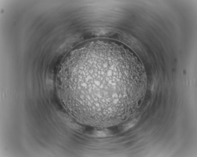 X0000066500510200603171151