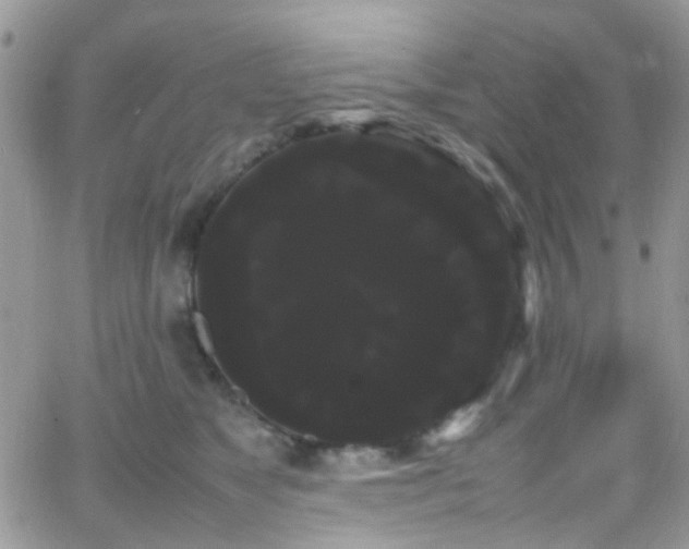 X0000066500517200603171151