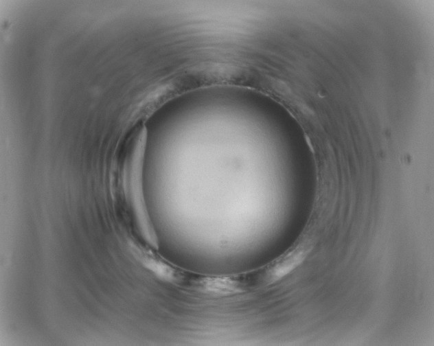 X0000066500528200603171151