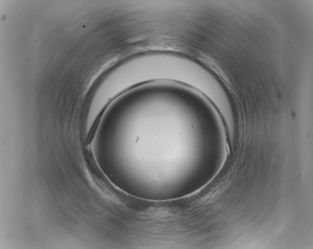 X0000066500534200603171150