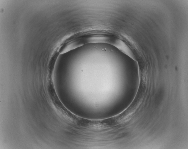 X0000066500540200603171151