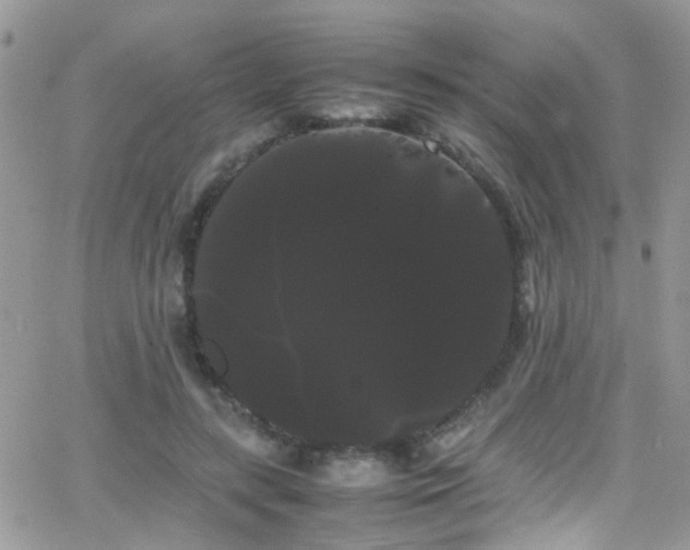X0000066500547200603171151