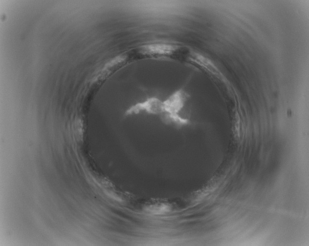 X0000066500551200603171151