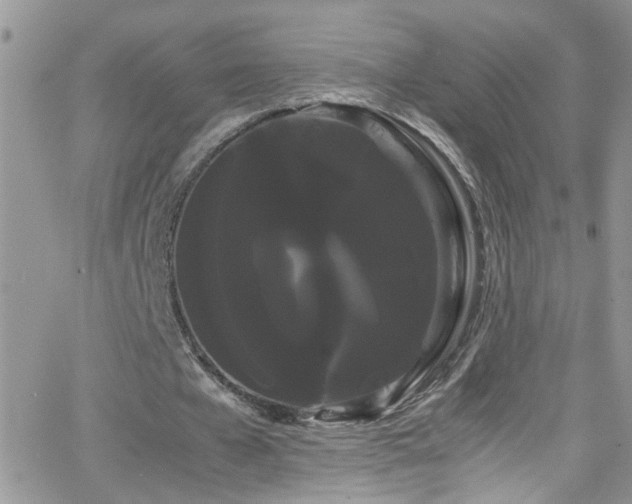 X0000066500577200603171150