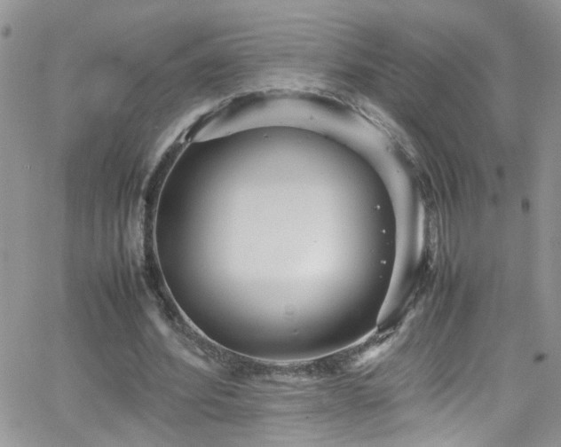 X0000066500580200603171150