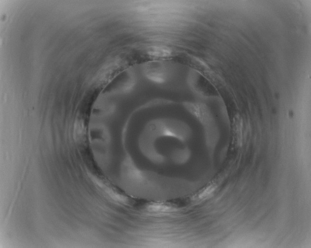 X0000066500614200603171150