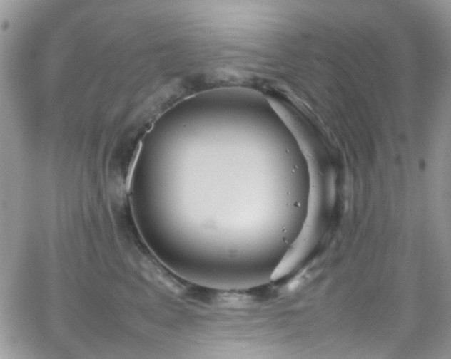 X0000066500617200603171150