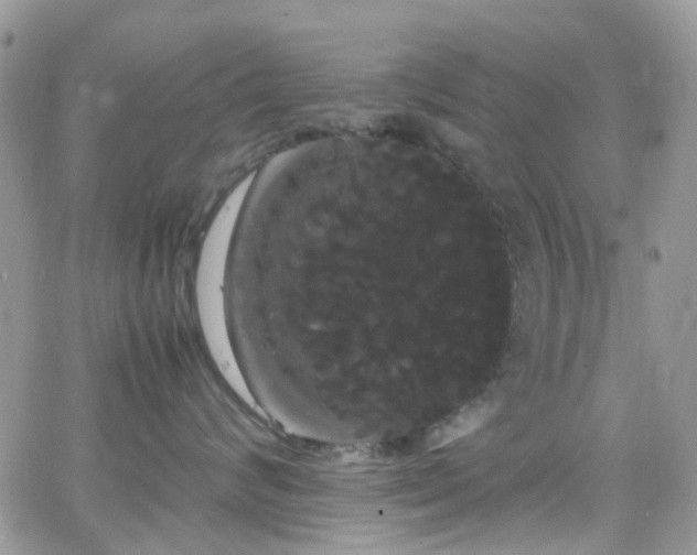 X0000066500624200603171150