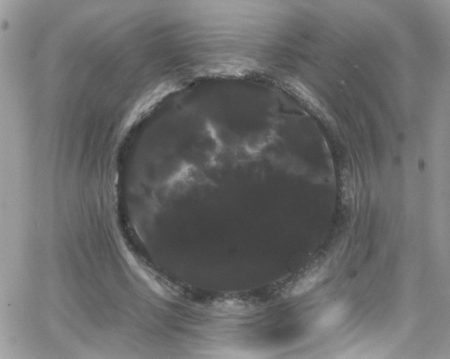X0000066500634200603171149