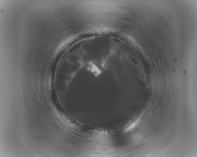 X0000066500640200603171149