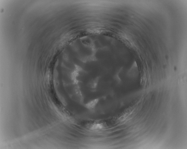 X0000066500647200603171149