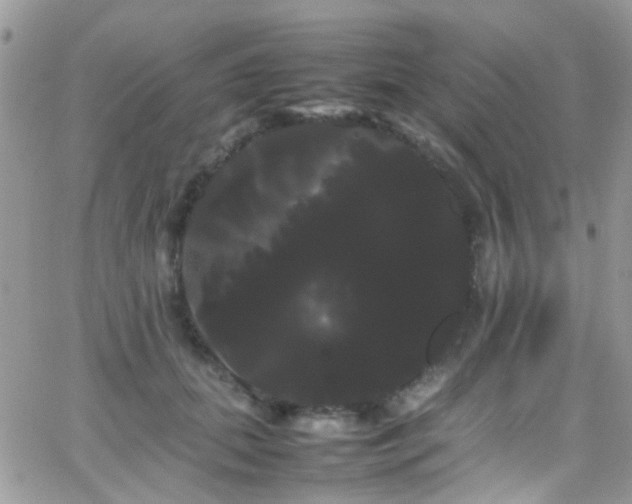 X0000066500655200603171149