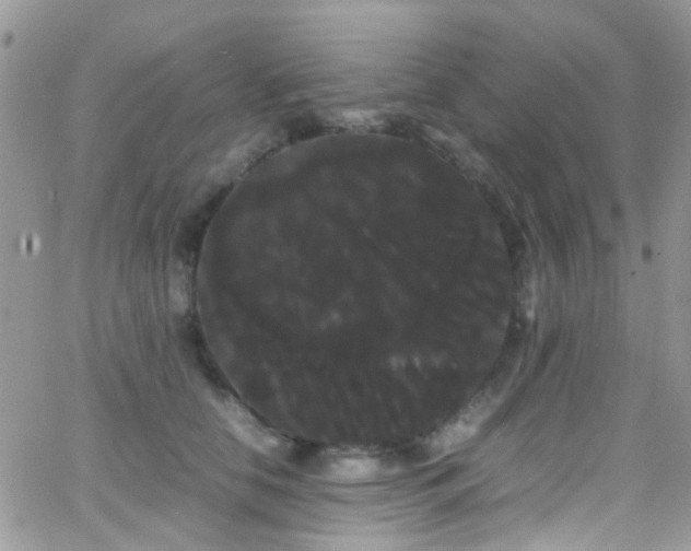 X0000066500658200603171149