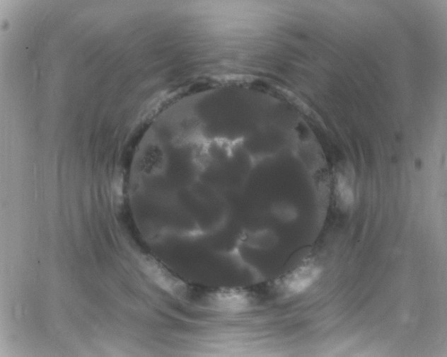 X0000066500668200603171150