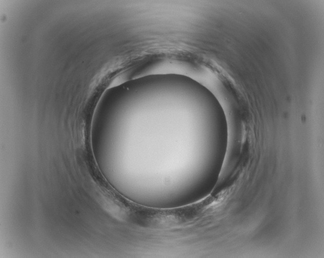 X0000066500685200603171149