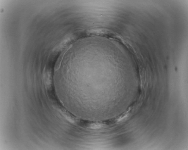X0000066500708200603171148