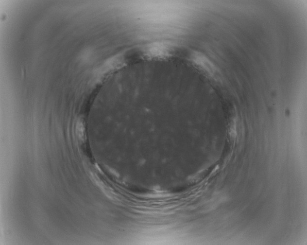 X0000066500715200603171148