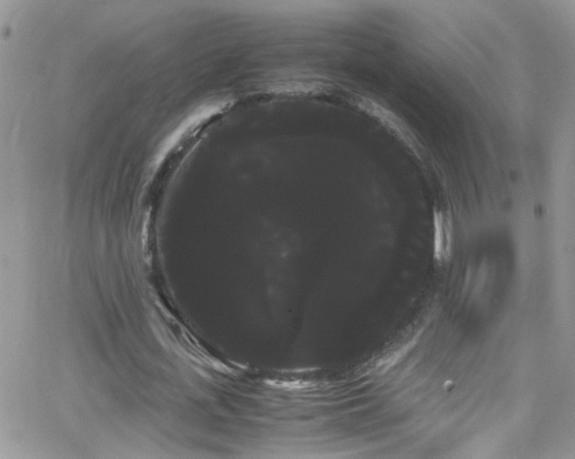 X0000066500723200603171147