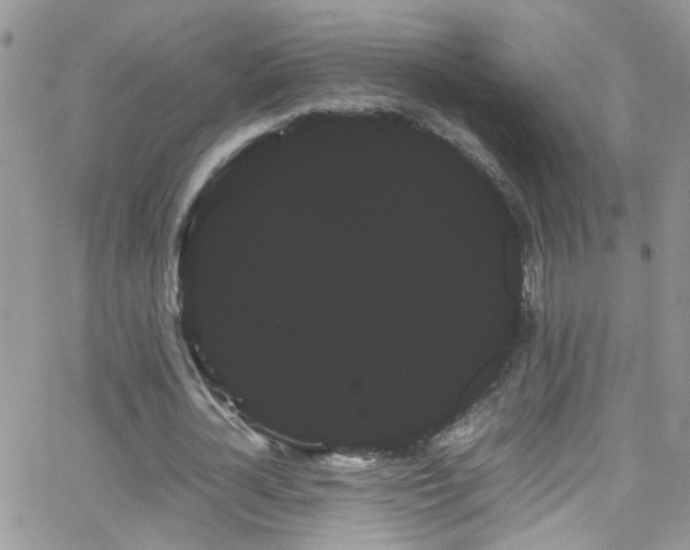X0000066500724200603171147