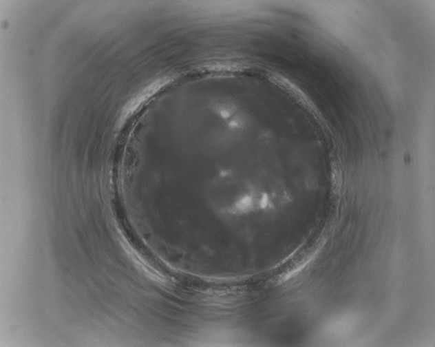 X0000066500725200603171147