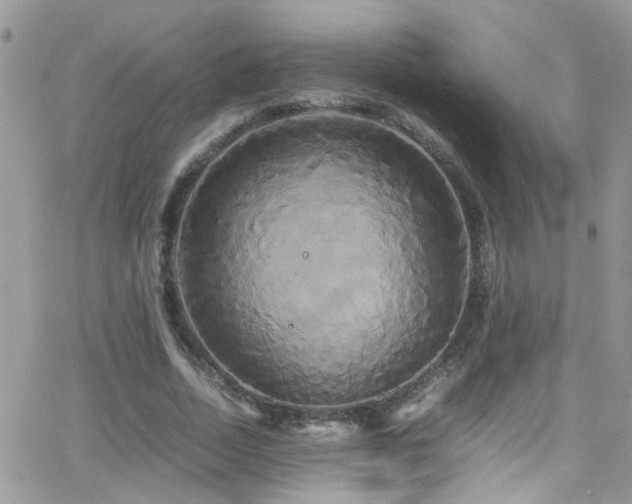X0000066500730200603171147