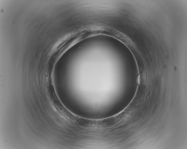 X0000066500732200603171147