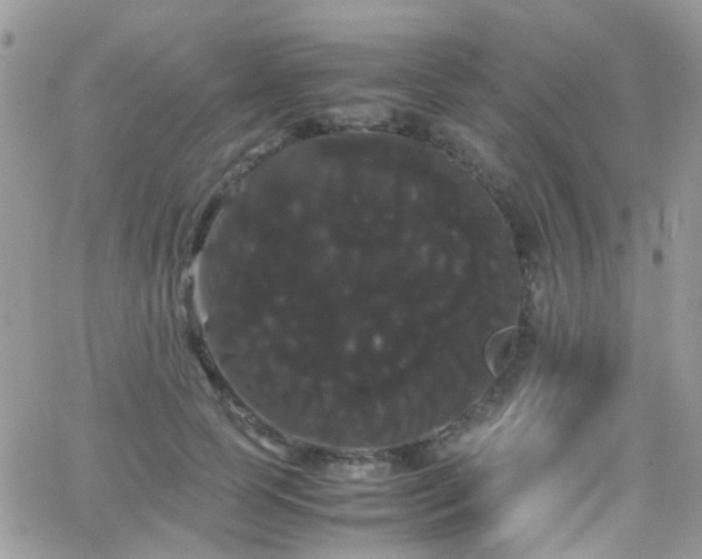 X0000066500745200603171148