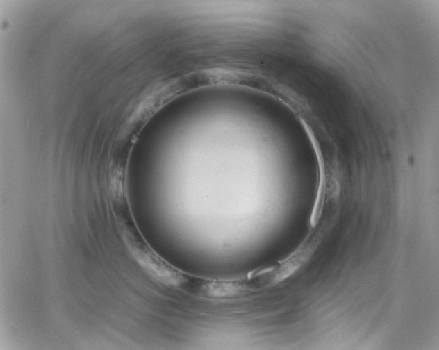 X0000066500766200603171148