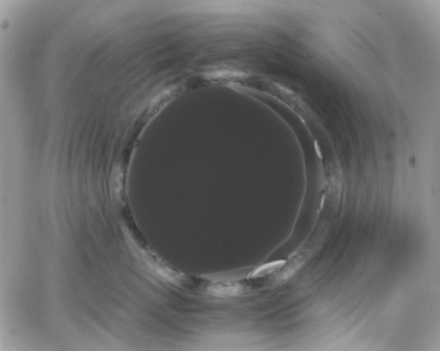 X0000066500767200603171148