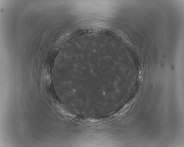 X0000066500771200603171147