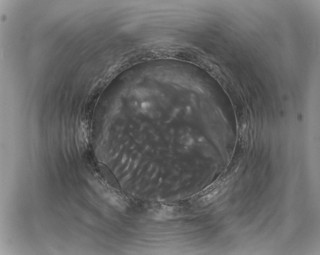 X0000066500772200603171147