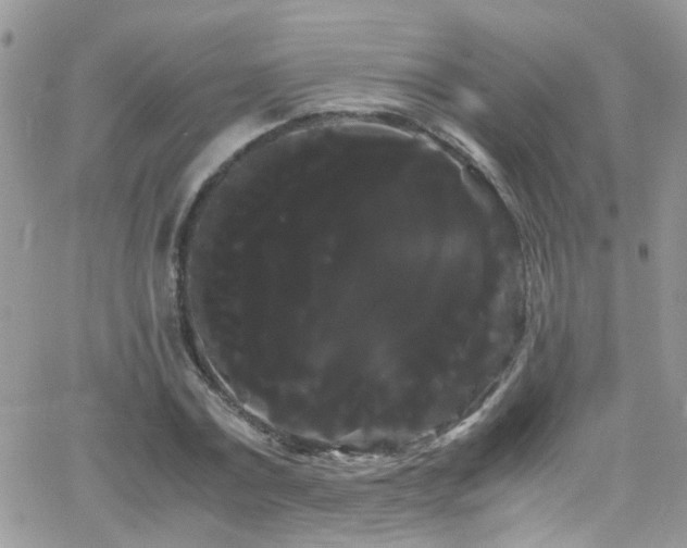 X0000066500779200603171147