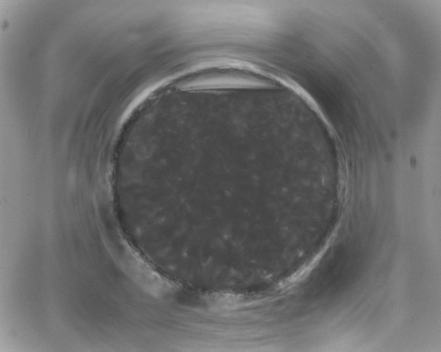 X0000066500783200603171147