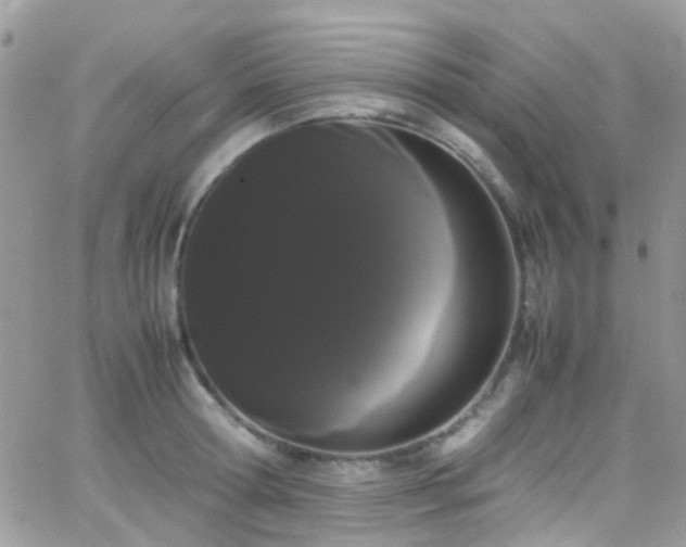 X0000066500802200603171147