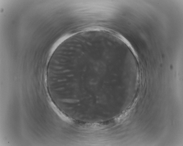 X0000066500811200603171147