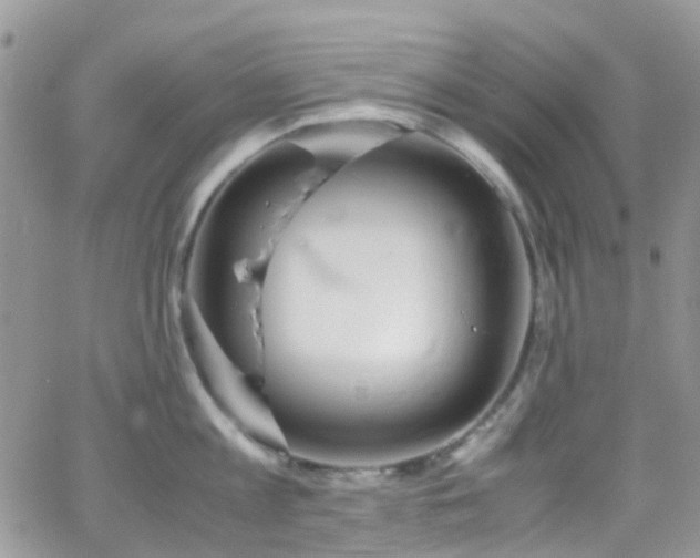 X0000066500813200603171146