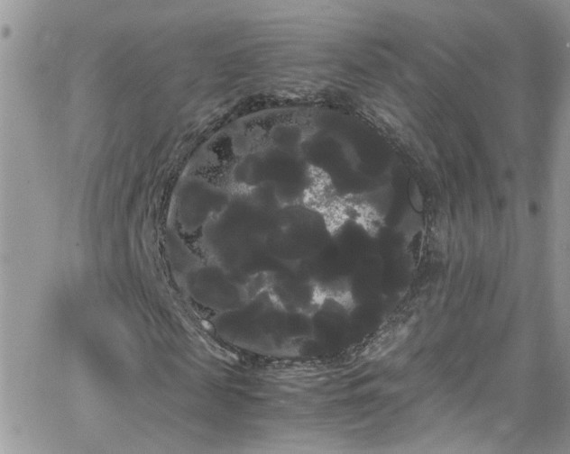 X0000066500817200603171146