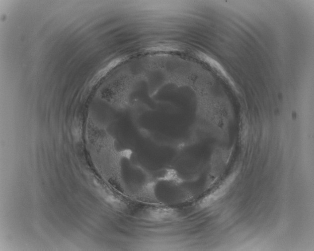X0000066500833200603171146
