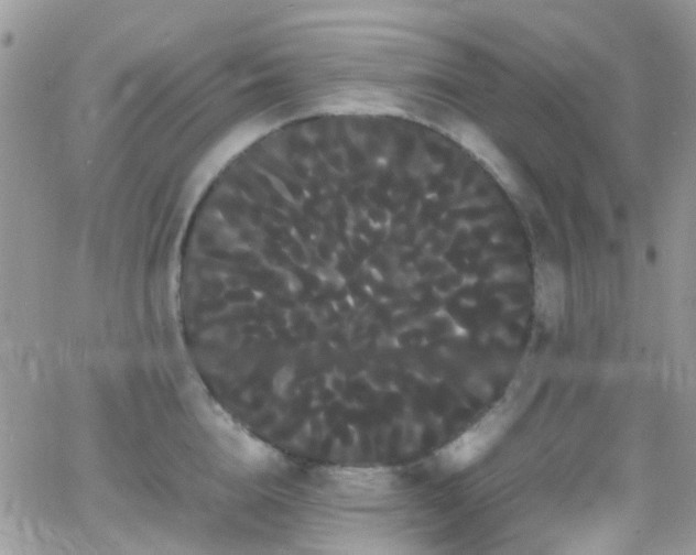 X0000066500856200603171146