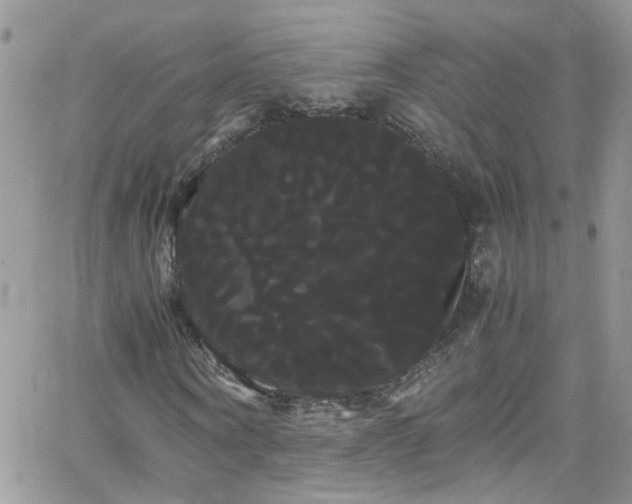 X0000066500866200603171146