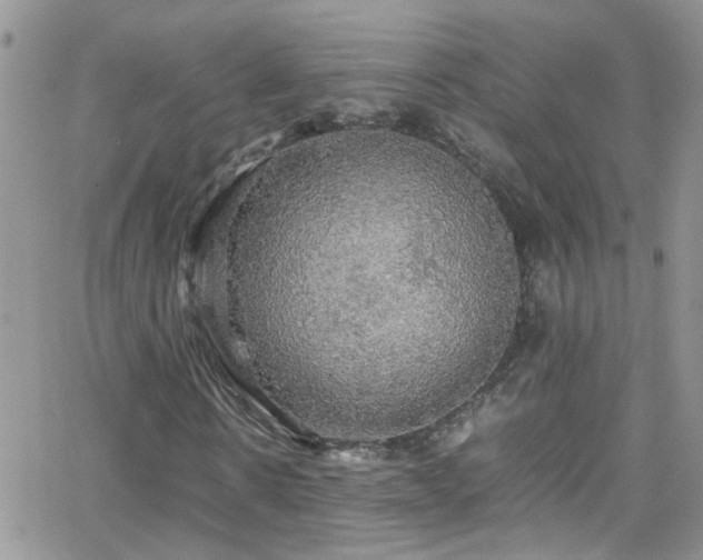X0000066500914200603171144