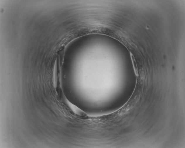 X0000066500916200603171144