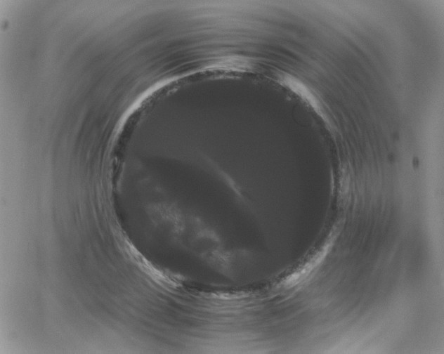 X0000066500923200603171144