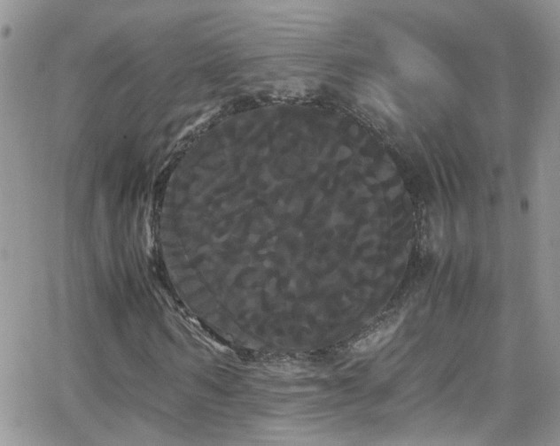 X0000066500962200603171144