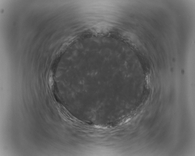 X0000066500963200603171144