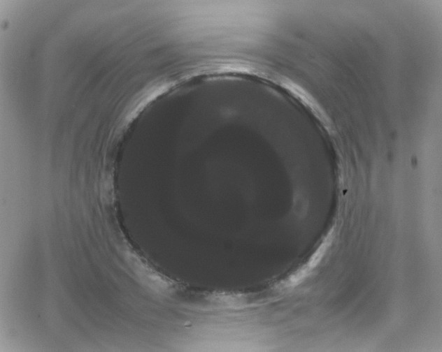 X0000066500977200603171144