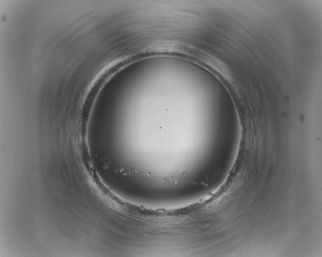 X0000066500984200603171144