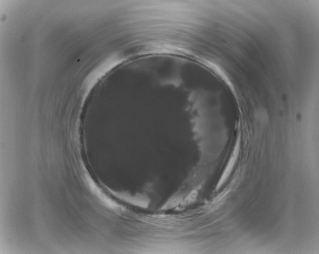 X0000066500995200603171143