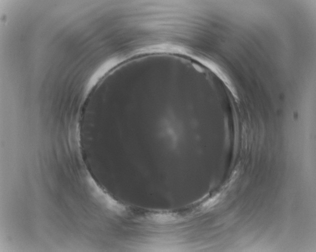 X0000066500998200603171143